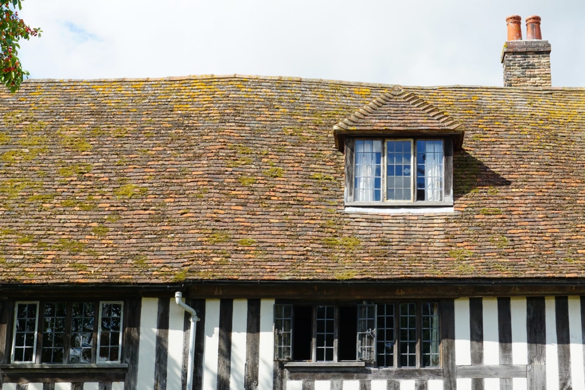 Asbestos removals in older properties expert advice on what to do