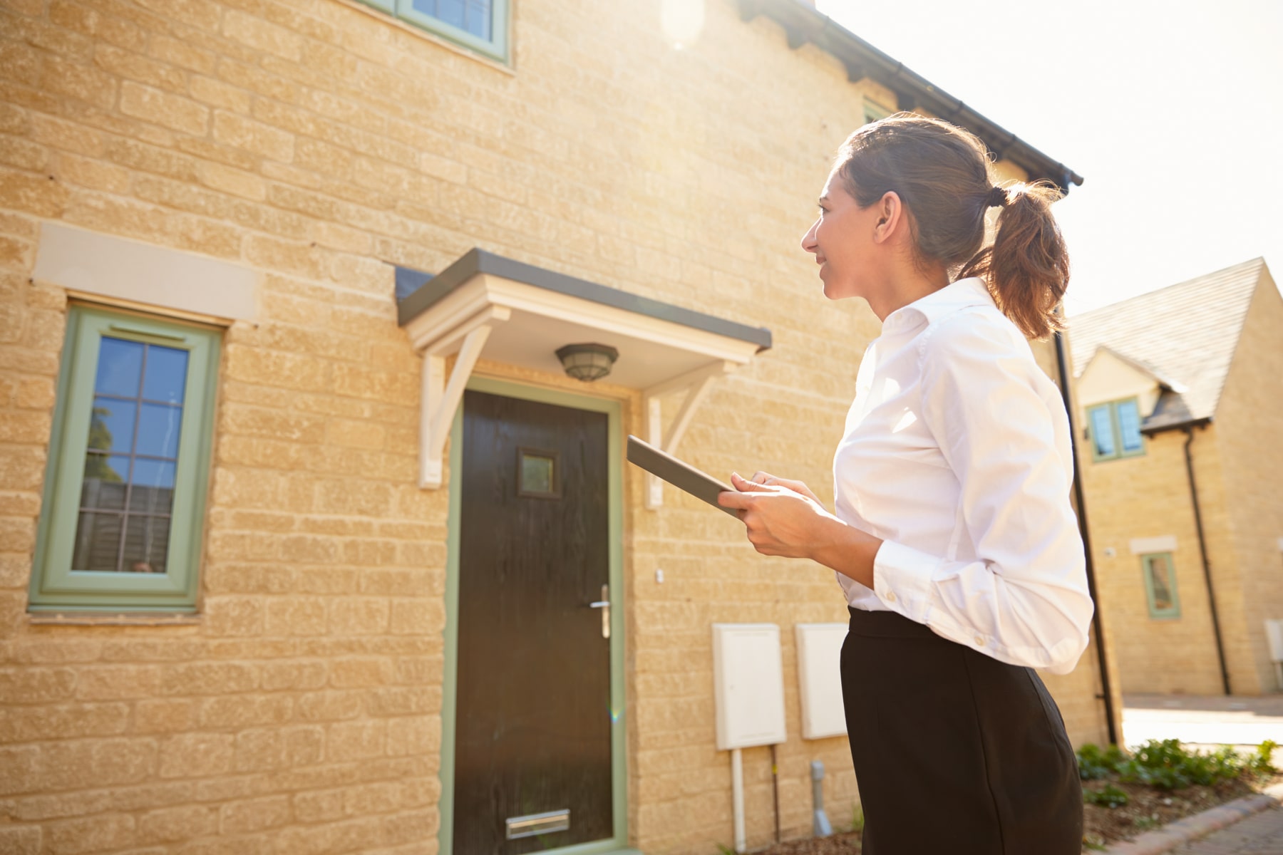 Pre-purcase house surveys