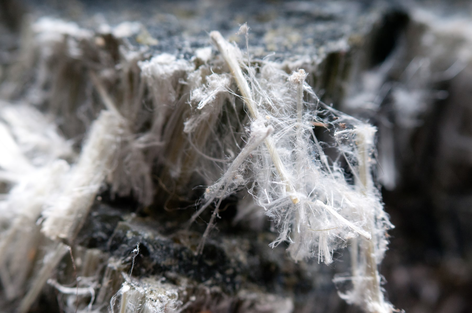 asbestos sampling services